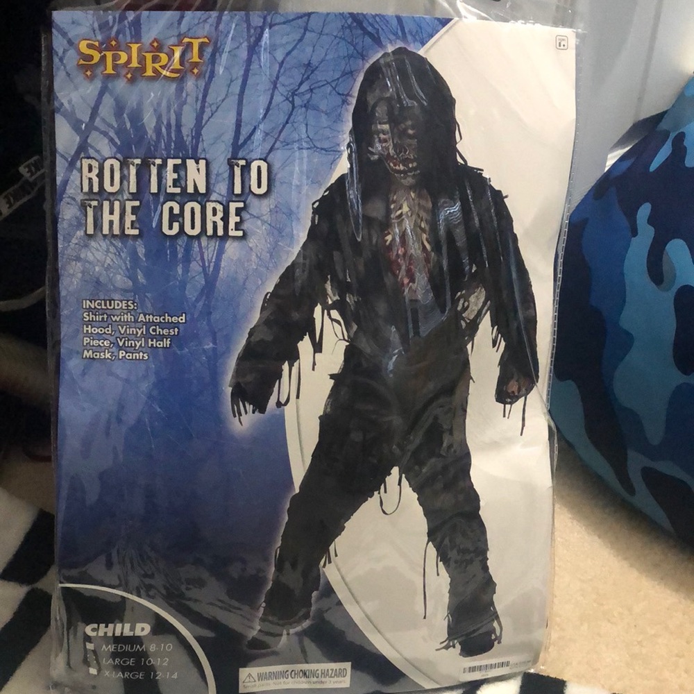 Boys Halloween costume.